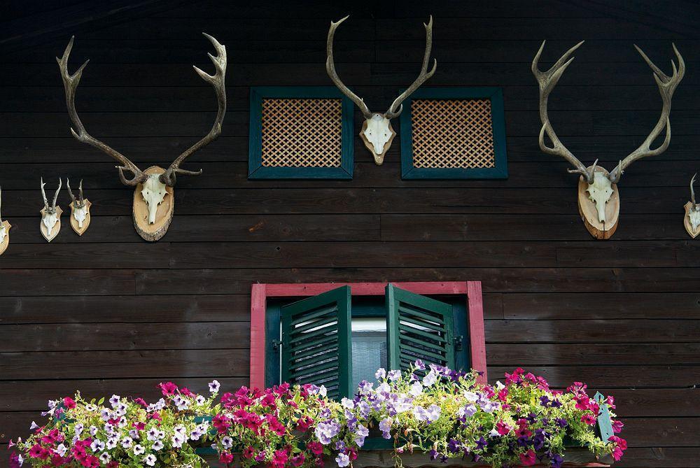 Angerer Alm Hotel Sankt Johann in Tirol Exterior foto